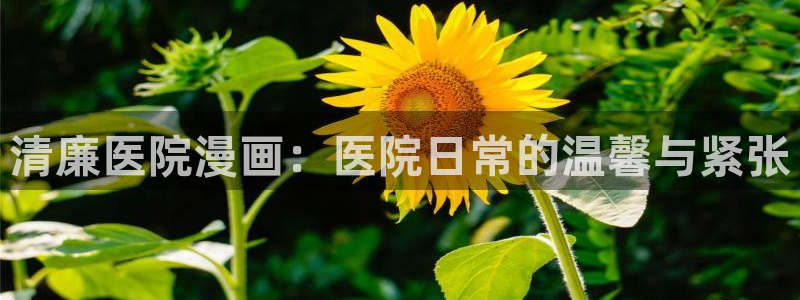 虫虫漫画免费观看：清廉医院漫画：医院日常的温馨与紧张