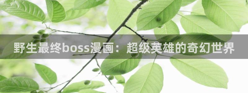 虫虫漫画app免费版：野生最终boss漫画：超级英雄的奇幻世界