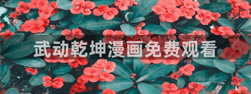 虫虫漫画在线观看免费版完整：武动乾坤漫画免费观看