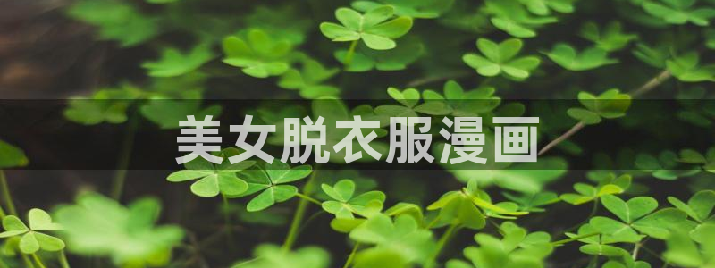 虫虫漫画入口免费：美女脱衣服漫画