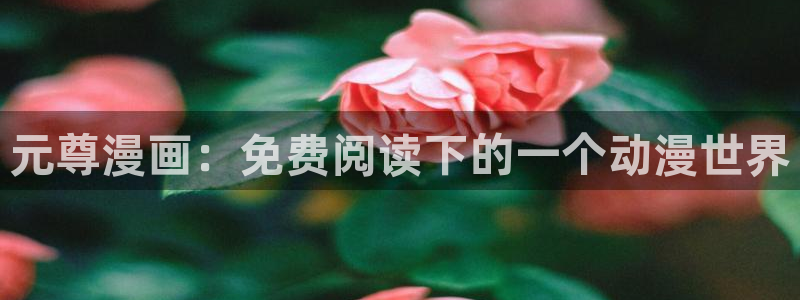 虫虫电影网：元尊漫画：免费阅读下的一个动漫世界